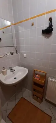 Ein Badezimmer in der Unterkunft Das kleine Liesl in der Neustadt