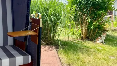 Ein Garten an der Unterkunft Ferienapartment Casa Heideblick mit Sonnenterrasse & Garten