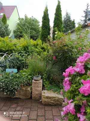 Ein Garten an der Unterkunft Kreativ Ferienwohnung Domizil der Sinne