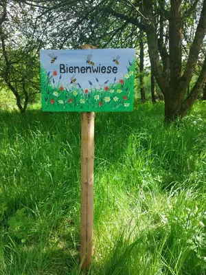 Naturlandschaft in der Nähe des Ferienhauses