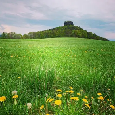 Naturlandschaft in der Nähe der Ferienwohnung
