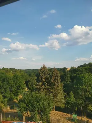 Naturlandschaft in der Nähe der Ferienwohnung
