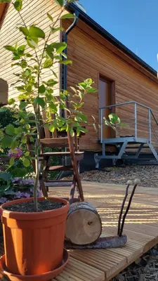Ein Garten an der Unterkunft Ferienhäuser Seiffen
