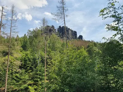 Naturlandschaft in der Nähe der Ferienwohnung