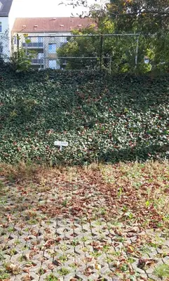 Ein Garten an der Unterkunft gemütliche kleine Ferienwohnung