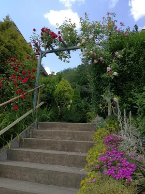 Ein Garten an der Unterkunft Ferienhaus Sonnenschein