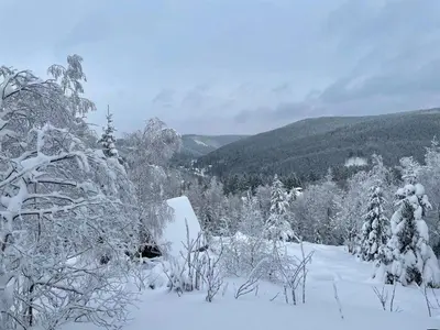 Ferienwohnung Sonnenhof im Winter