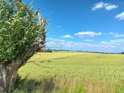 Naturlandschaft in der Nähe der Ferienwohnung