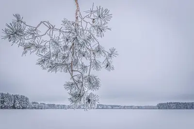Auszeit im Seenland im Winter