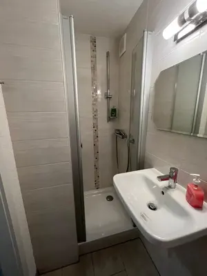 Ein Badezimmer in der Unterkunft gemütliche kleine Ferienwohnung in Altenberg