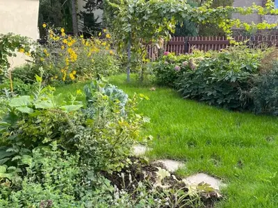 Ein Garten an der Unterkunft Apartment am HohenRand Dresden Leubnitz