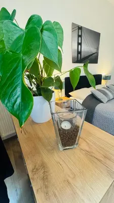 TV/Unterhaltungsangebot in der Unterkunft Ferienwohnung Jurga