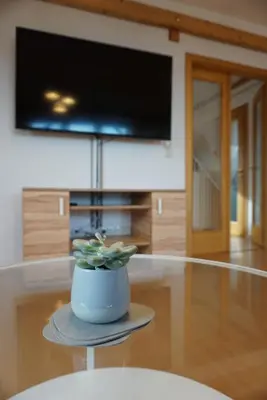 TV/Unterhaltungsangebot in der Unterkunft Apartment mit Ausblick im Dresdner Südwesten