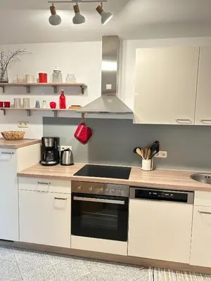 Küche/Küchenzeile in der Unterkunft FeWo Ostrau, neues Bad, neue Küche, zentral, Sandstein-Ferien, Terrasse