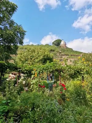 Naturlandschaft in der Nähe der Ferienwohnung
