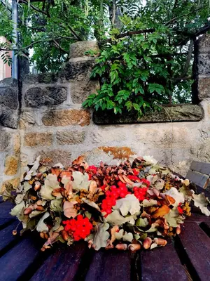 Ein Garten an der Unterkunft Auszeit