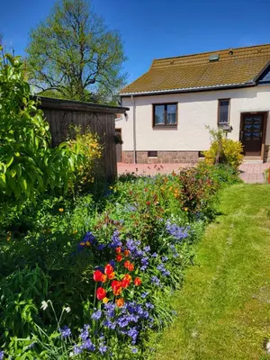 Ein Garten an der Unterkunft Ferienhaus Keppler im Erzgebirge