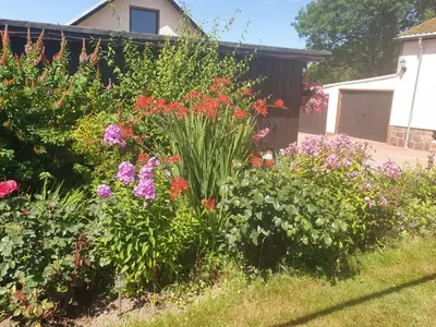 Ein Garten an der Unterkunft Ferienhaus Keppler im Erzgebirge