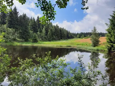 Naturlandschaft in der Nähe der Ferienwohnung
