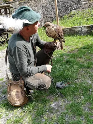Tiere im Ferienhaus oder in der Nähe