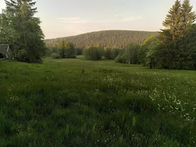 Naturlandschaft in der Nähe des Ferienhauses