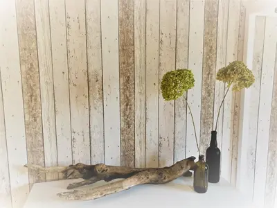 Grundriss der Unterkunft Haus-Am-See-Pratzschwitz