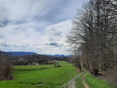 Naturlandschaft in der Nähe der Ferienwohnung