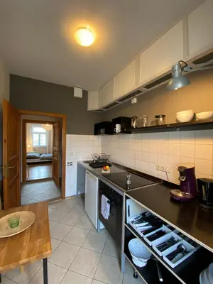 Küche/Küchenzeile in der Unterkunft Apartments Dresden Neustadt Apartment LOUISE