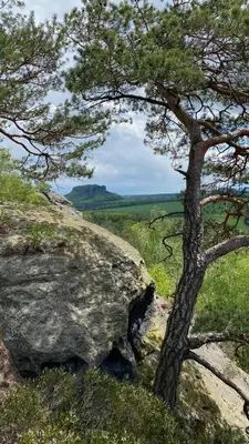 Naturlandschaft in der Nähe der Ferienwohnung