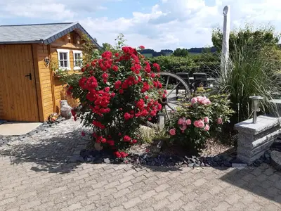 Ein Garten an der Unterkunft NEU Apartment Hanka