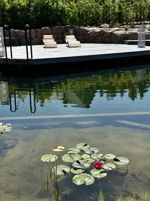 Blick auf einen Fluss in der Nähe der Ferienwohnung