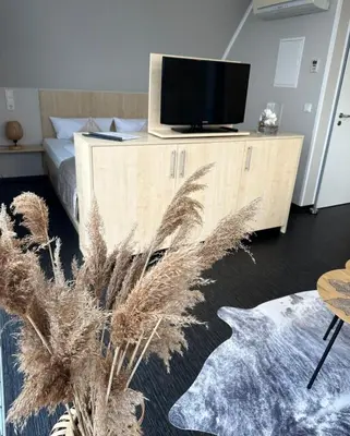 TV/Unterhaltungsangebot in der Unterkunft Appartment Seeblick 9