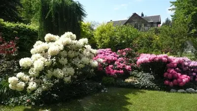 Ein Garten an der Unterkunft Privathaus Wehle