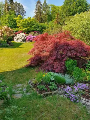 Ein Garten an der Unterkunft Privathaus Wehle