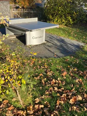 Ein Garten an der Unterkunft Haus Mathilda - Kurort Gohrisch - Kamin - Terrasse - Gartensauna - Parkplatz