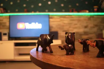 Tiere im Ferienhaus oder in der Nähe
