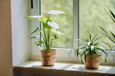 Grundriss der Unterkunft EDLER WOHNRAUM Luxuriöse 2 SZ mit Balkon, Kaffeevollautomat, Klima & Lift