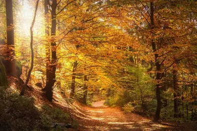 Naturlandschaft in der Nähe der Ferienwohnung