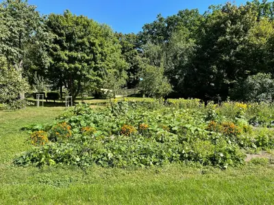 Ein Garten an der Unterkunft Holiday Home Parkblick by Interhome