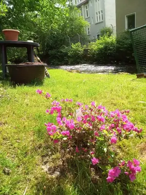 Ein Garten an der Unterkunft Ferienwohnung zum Sebnitzer Hirsch