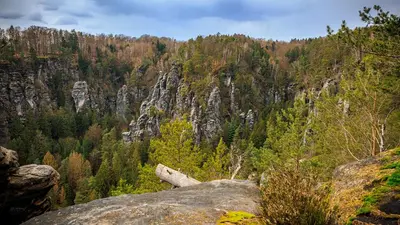 Naturlandschaft in der Nähe der Ferienwohnung