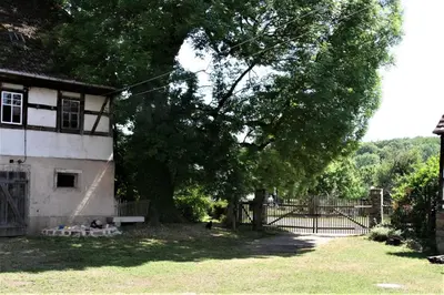 Ein Garten an der Unterkunft Schlossmühle Schieritz in der Nähe von Meißen