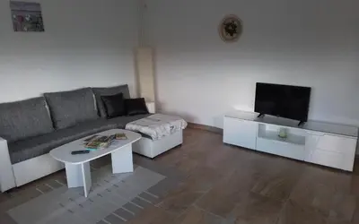TV/Unterhaltungsangebot in der Unterkunft Landblick am Hankehübel