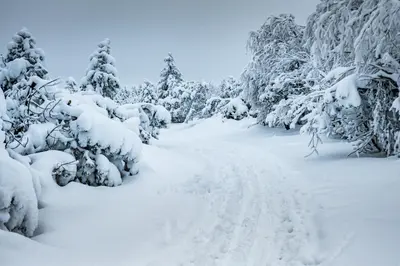 Chalet Zugspitze im Winter
