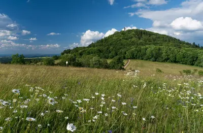Naturlandschaft in der Nähe der Ferienwohnung