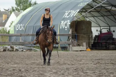 Reiten in der Ferienwohnung oder in der Nähe