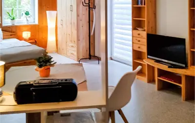 TV/Unterhaltungsangebot in der Unterkunft Nice Apartment In Bad Schandau- Kleing