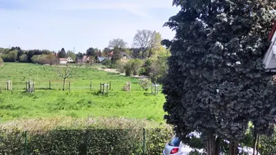 Ein Garten an der Unterkunft Stiegenstübchen am Weinberg